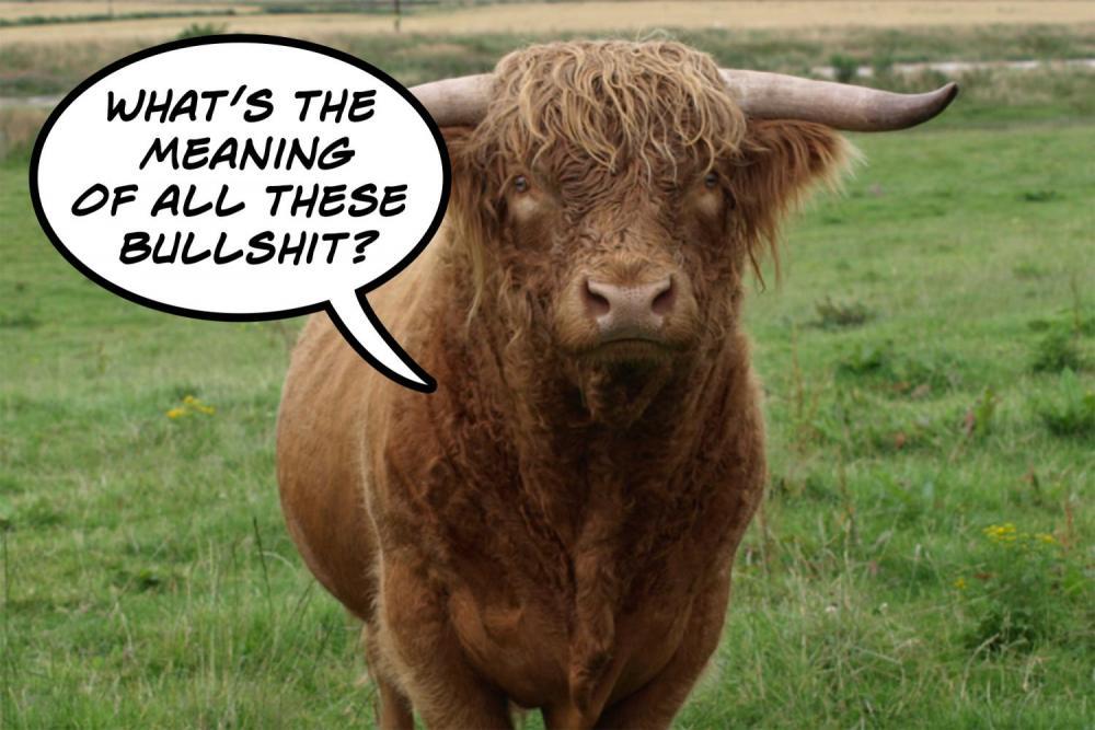 Bull.thumb.jpg.fce5a5a9b276309b4e2f43aa86f57df4.jpg