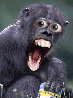 ape02.gif