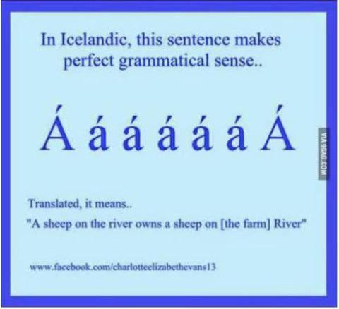 481764942_1061424626089629_1909940606591907229_n.jpg