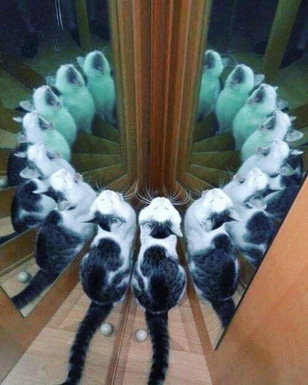 J27ypcSVQ9PA0hJmKHWJMxE-N48QVze3t7pC_FLNlzE.jpg