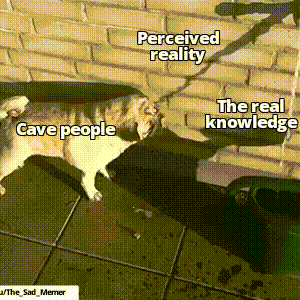 rz0v5huv7x281.gif