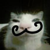 Beans