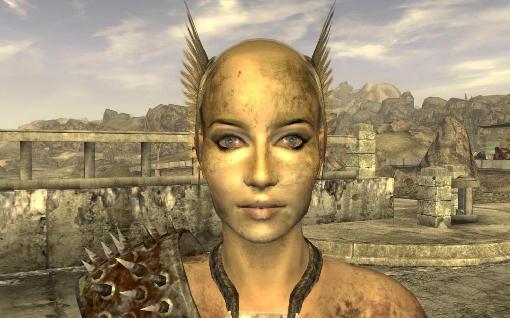 300-pokecoins-for-this-fallout-nv-raider-haircut-v0-ozo41gema51e1.jpg