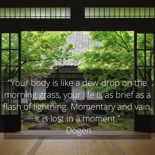 WhatsApp Image 2025-07-08 at 19.44.56.jpeg