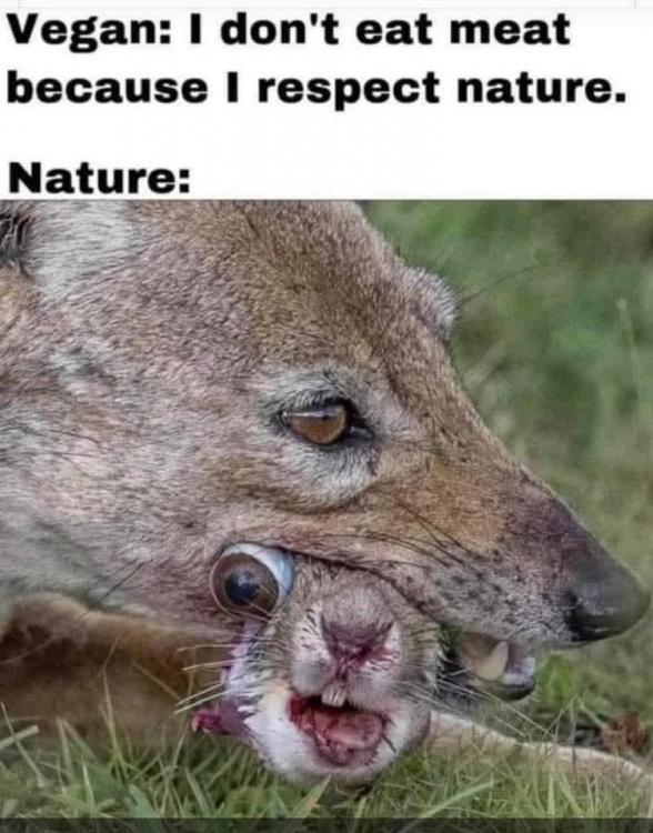 FB_IMG_1760120555643.jpg