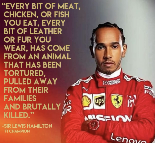 Schermafbeelding 2025-12-15 083651.png