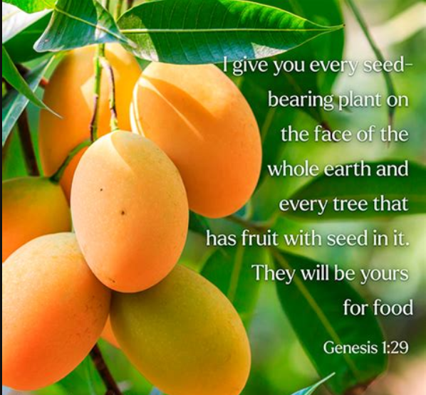 Screenshot from 2026-01-18 06-33-20.png