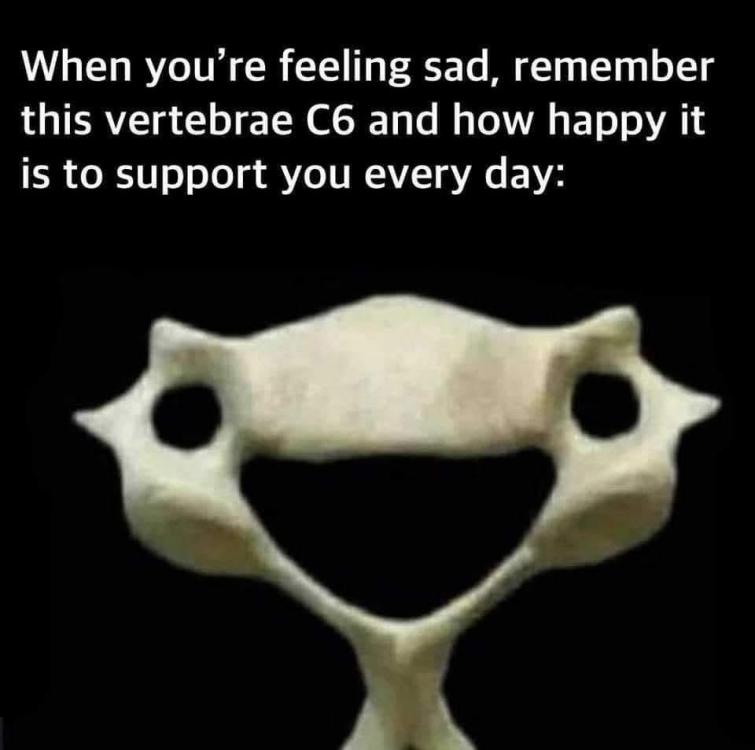 WhatsApp Image 2025-07-08 at 19.44.37 (1).jpeg