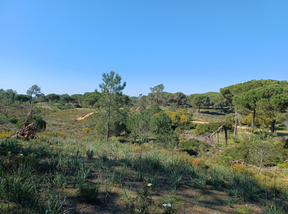 Screenshot 2026-03-13 205932.png