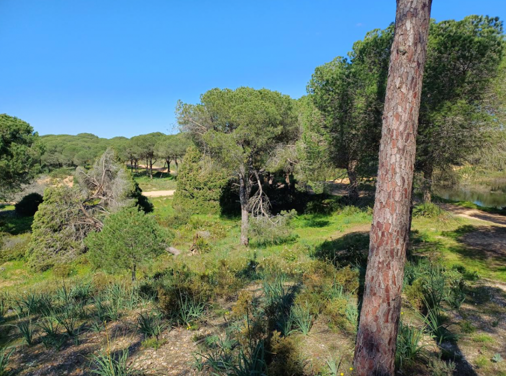 Screenshot 2026-03-13 205956.png