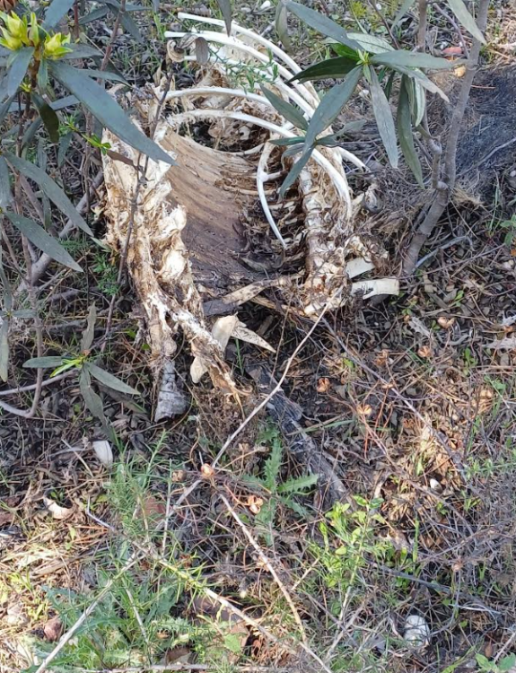 Screenshot 2026-03-13 210004.png