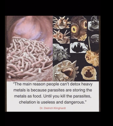 Screenshot from 2026-03-14 23-59-03.png