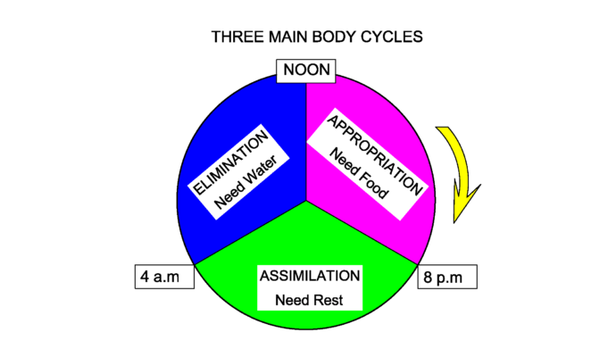 Body-Cycles-Model-1-e1579323779781-690x400-1627586772.png