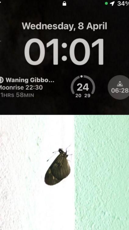 WhatsApp Image 2026-04-08 at 01.04.49.jpeg