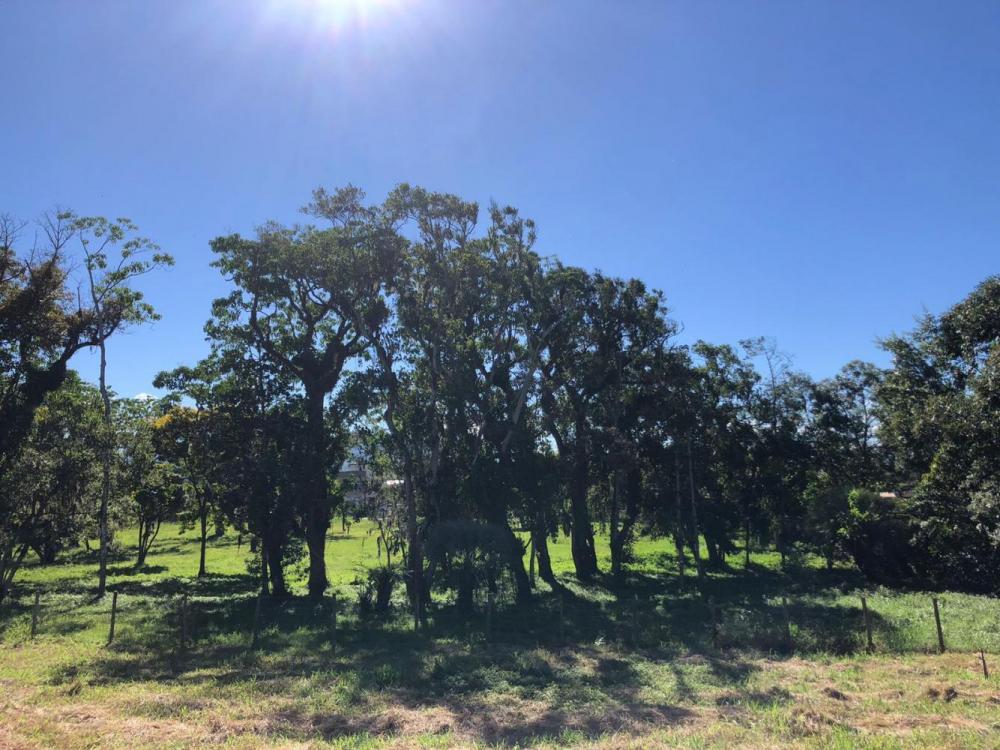 WhatsApp Image 2026-04-08 at 14.55.04.jpeg