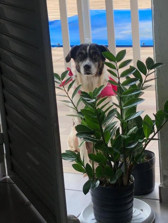 WhatsApp Image 2026-04-08 at 01.05.29.jpeg