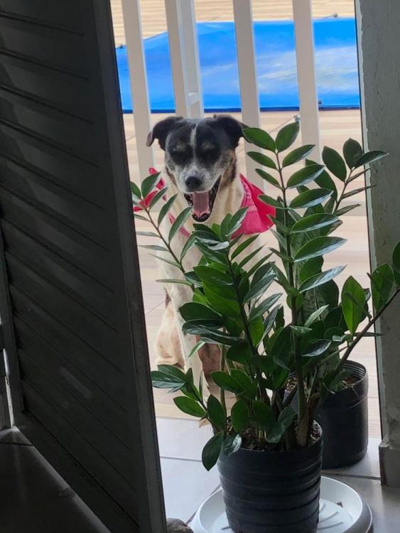 WhatsApp Image 2026-04-08 at 01.05.30.jpeg