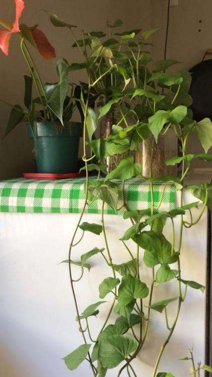 WhatsApp Image 2026-04-08 at 16.44.59.jpeg