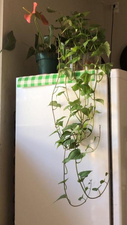 WhatsApp Image 2026-04-08 at 16.45.20.jpeg