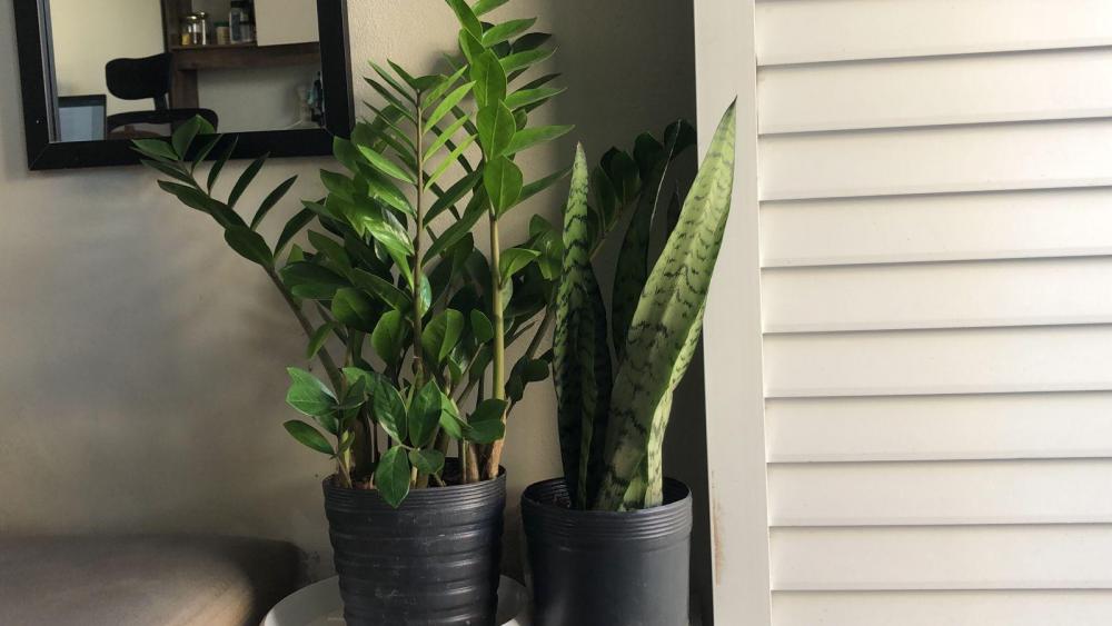 WhatsApp Image 2026-04-08 at 16.46.32.jpeg