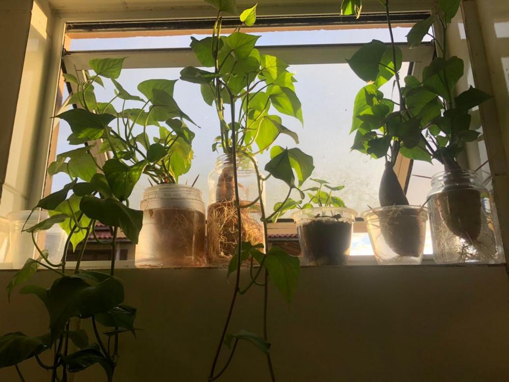 WhatsApp Image 2026-04-11 at 17.34.42.jpeg