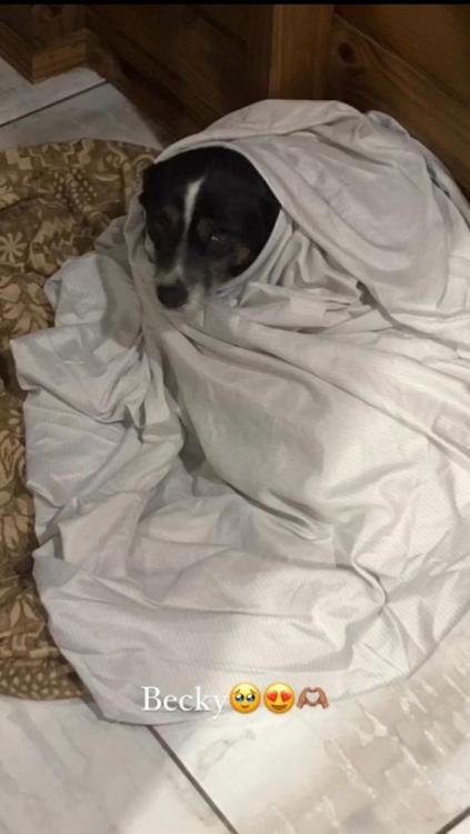 WhatsApp Image 2026-04-19 at 03.48.11 (1).jpeg