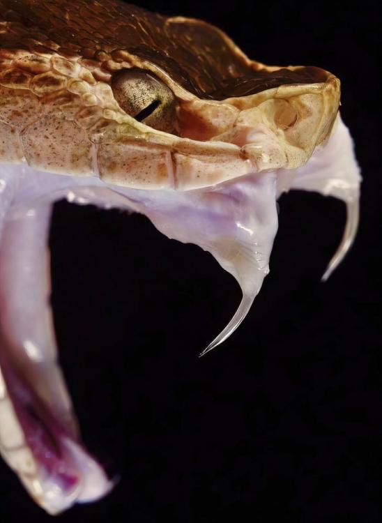 image-asset.webp (3).jpg