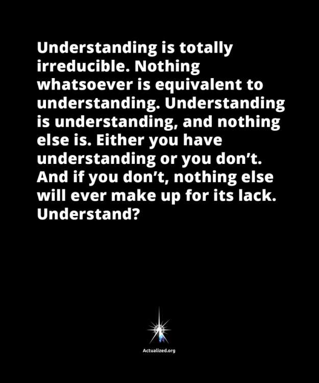 leo-quote-understanding-is-irreducible-01.png