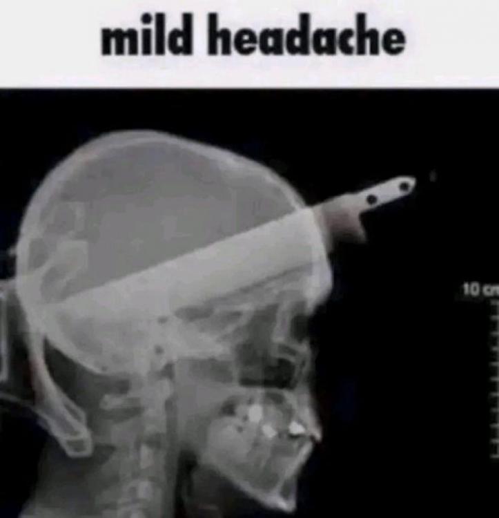 66221e3bb9bbb.jpeg