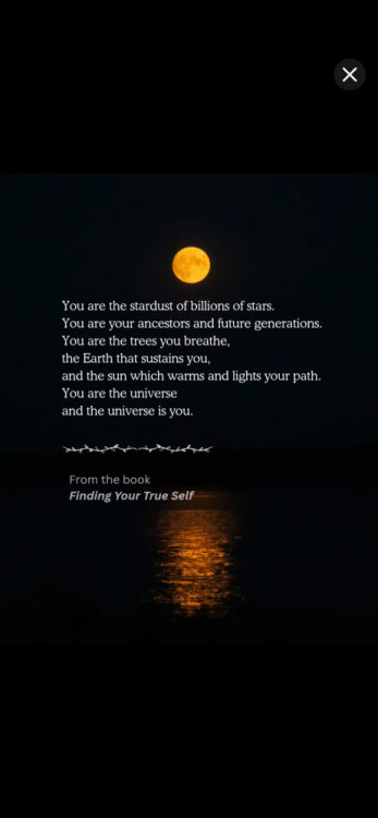 IMG_0771.png