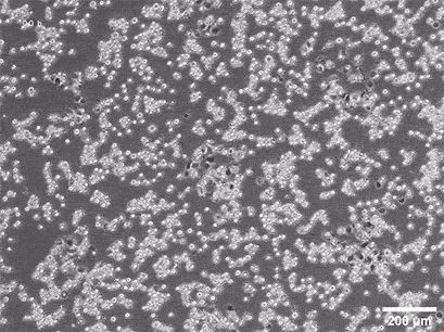 ezgif-18b7a9e0b818b4a0.gif