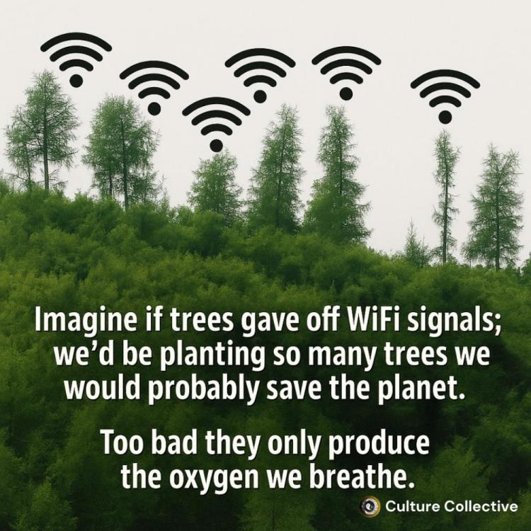 media-909476876.jpg