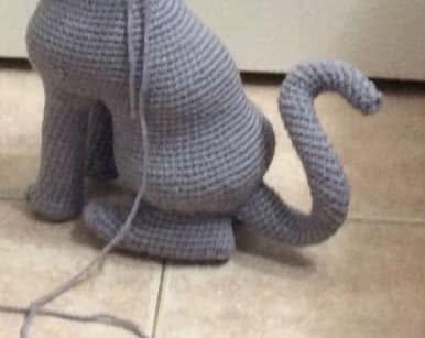Cat Yarn Ass.jpg