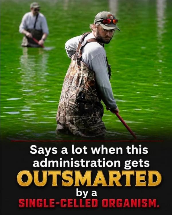 FB_IMG_1782071441460.jpg