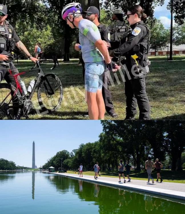 FB_IMG_1782182786448.jpg