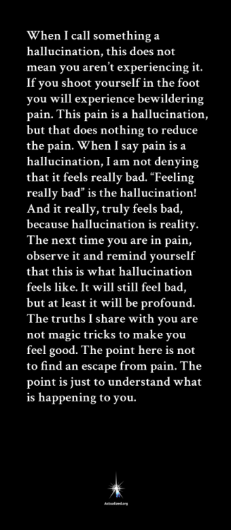 leo-quote-hallucination-is-still-real-01.png