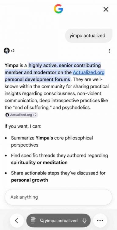 Who is Yimpa Google AI Response .jpg
