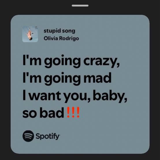 Stupid Song Lyrics.jpg