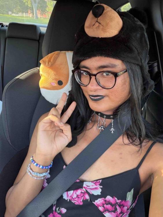 Meow-Mo-Beal Car Fixed Back On Road 1.jpg
