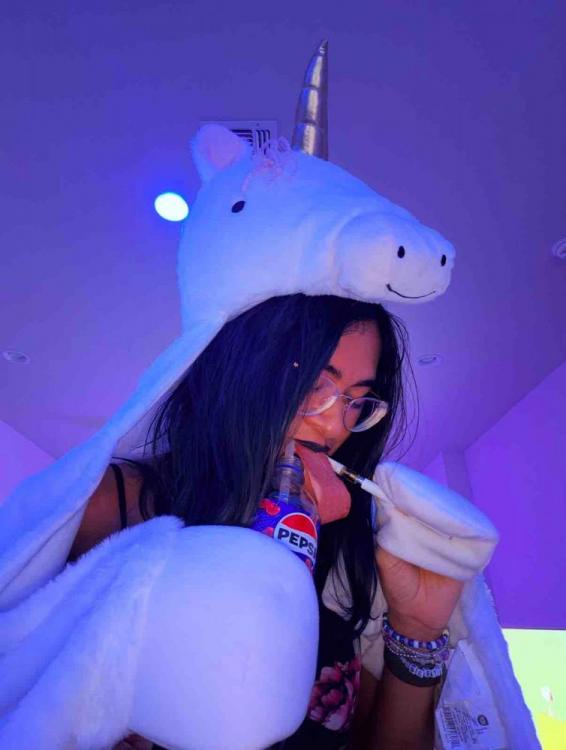 Bacon Unicorn Awakening.jpg