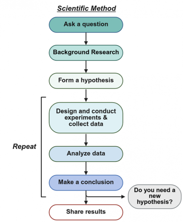 Scientific-Method-1.png