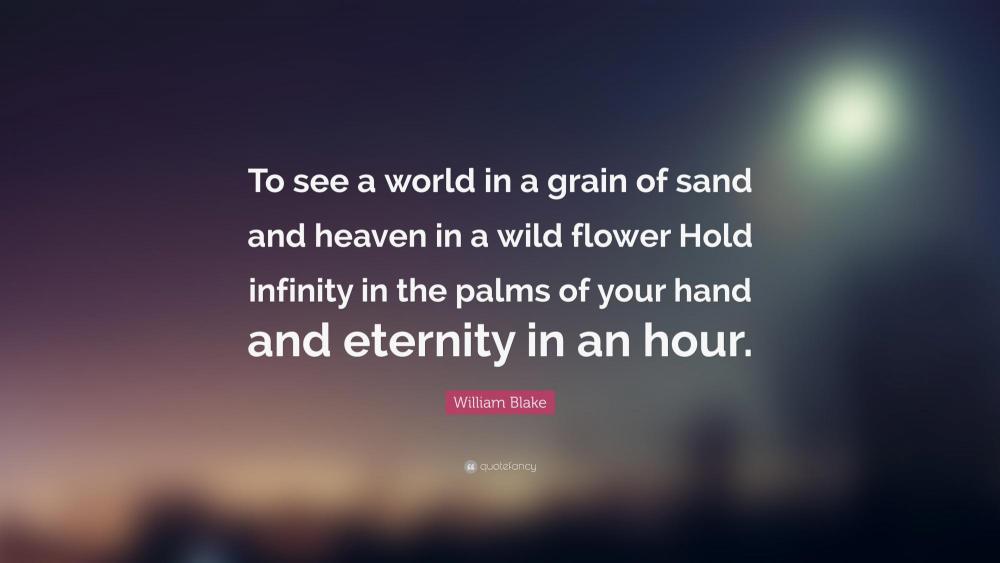 185882-William-Blake-Quote-To-see-a-world-in-a-grain-of-sand-and-heaven-4016059158.jpg