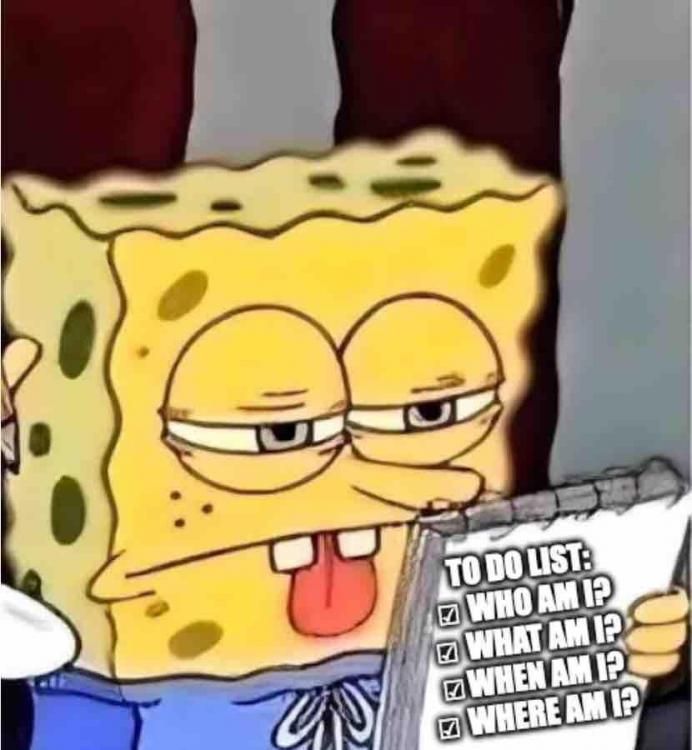 SpongeBob Enlightenment Meme.jpg