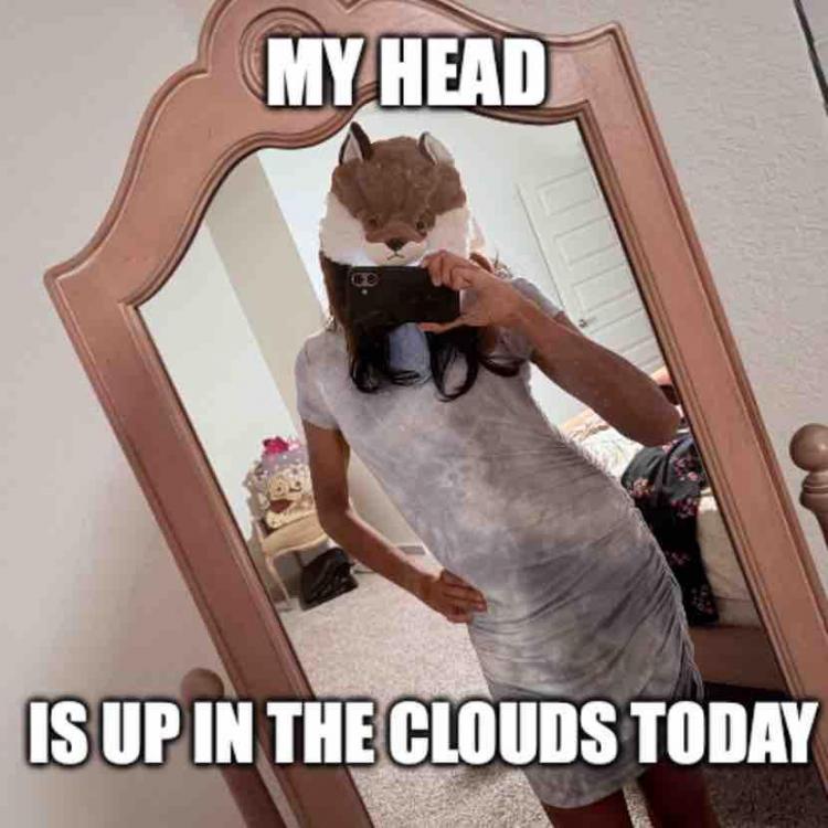 My Head Is Up In The Clouds Today.jpg