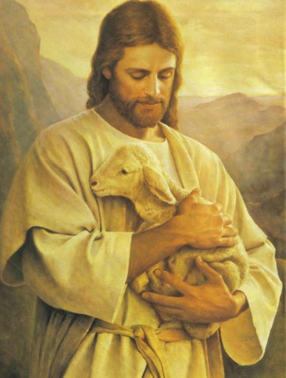 Jesus-Good-Shepherd-06-774x1024.jpg