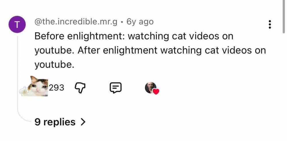 Before And After Enlightenment - Cats.jpg