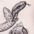 Puer Aeternus