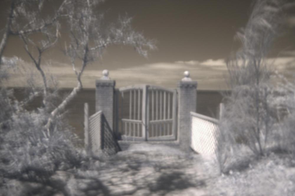 IMG_4644 copy ir gate.jpg
