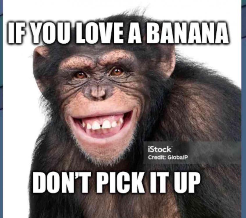 If you love a banana, don’t pick it up.JPG