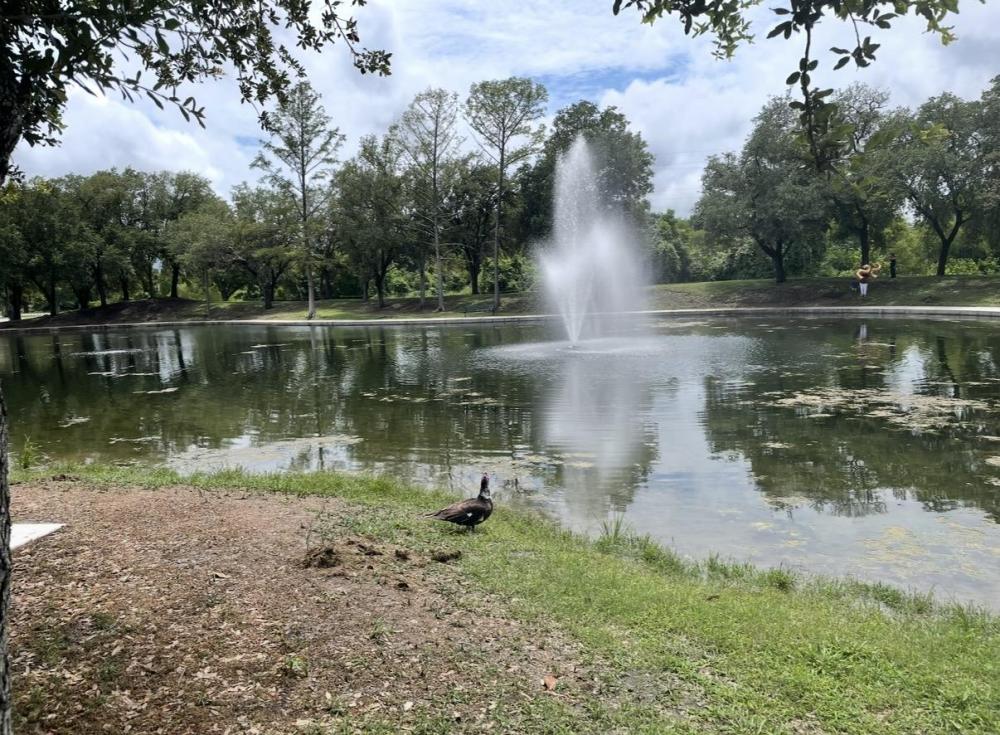 Nature Quack 22.jpg